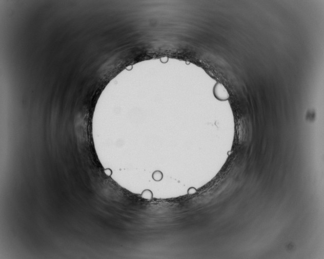 X0000103911059200810311427