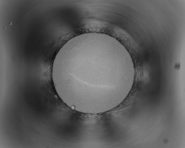 X0000103911060200810311427