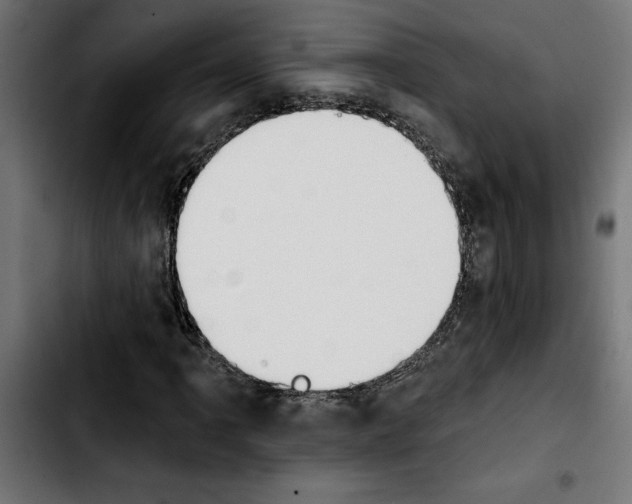 X0000103911061200810311427
