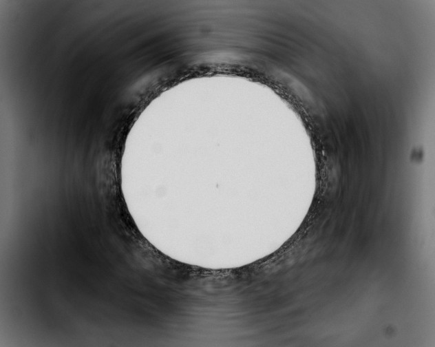 X0000103911062200810311427