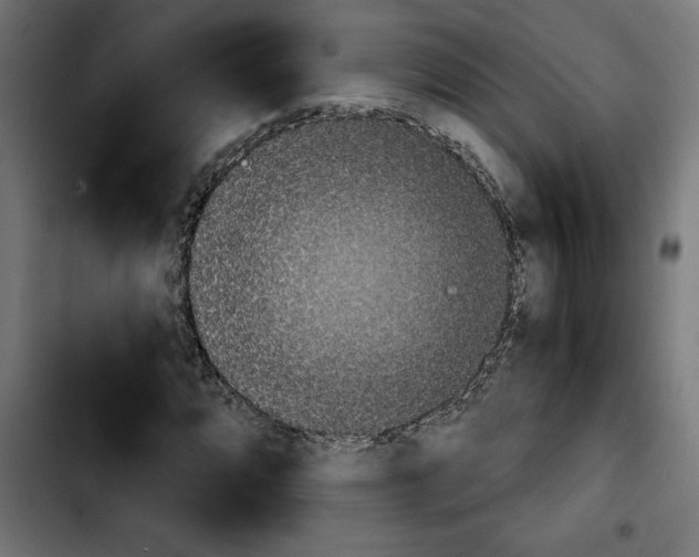X0000103911064200810311427