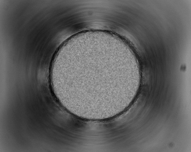 X0000103911065200810311427