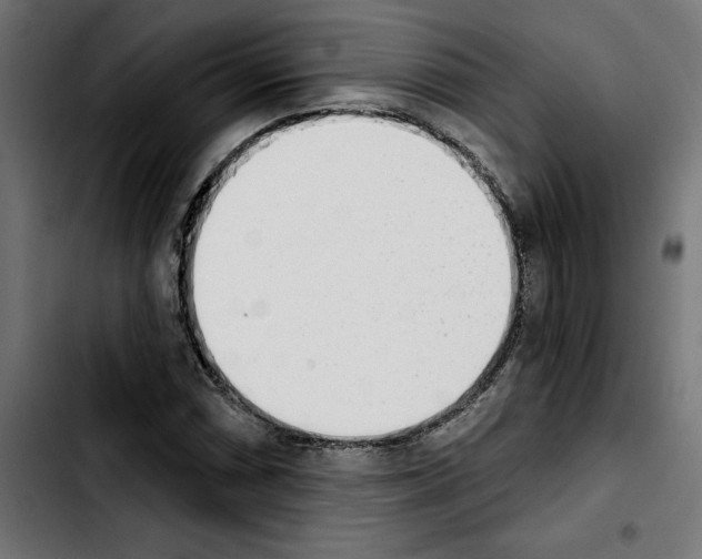 X0000103911066200810311427