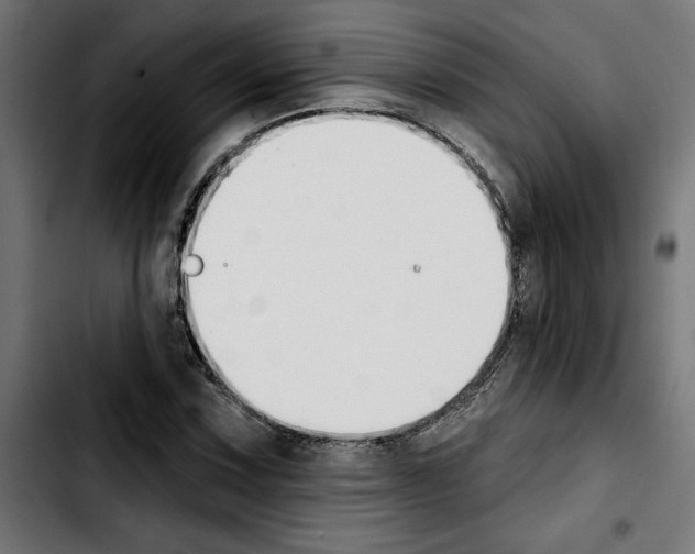 X0000103911067200810311427