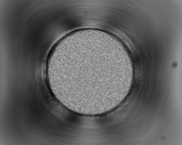 X0000103911069200810311427