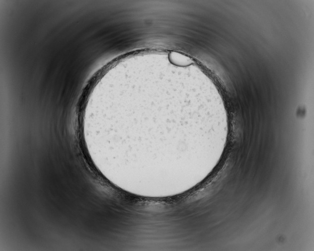 X0000103911070200810311427