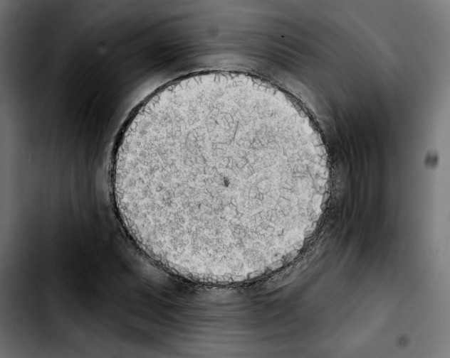 X0000103911071200810311427