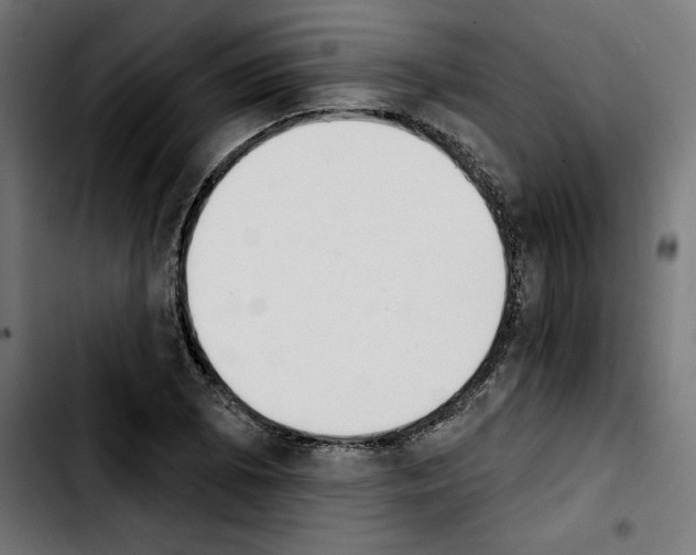 X0000103911073200810311427