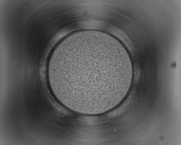 X0000103911074200810311427