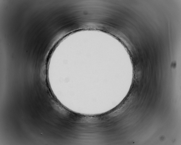 X0000103911075200810311427
