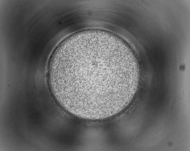 X0000103911076200810311427