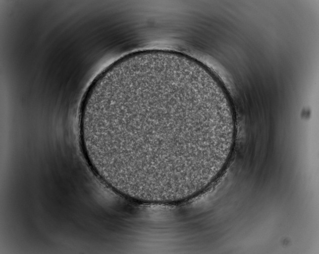 X0000103911077200810311427