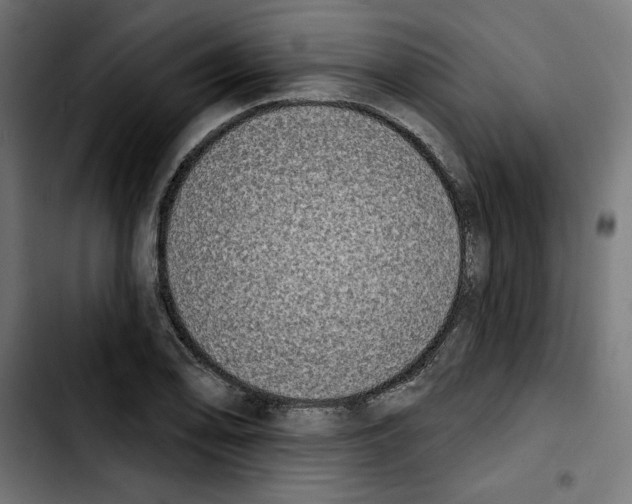X0000103911078200810311427