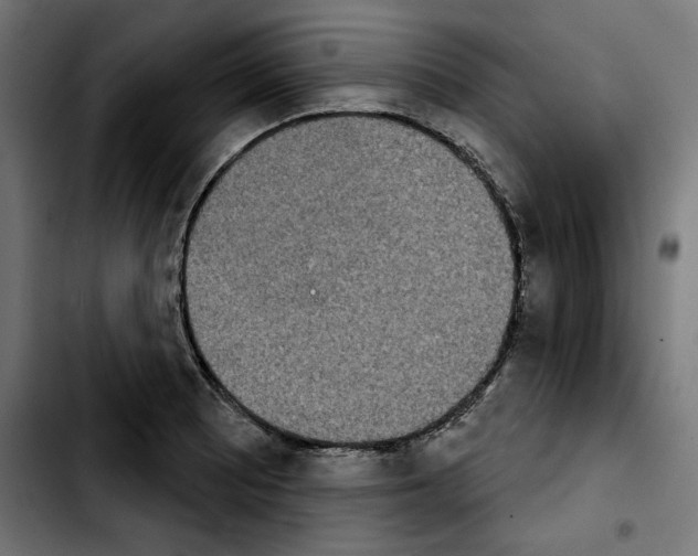 X0000103911081200810311427