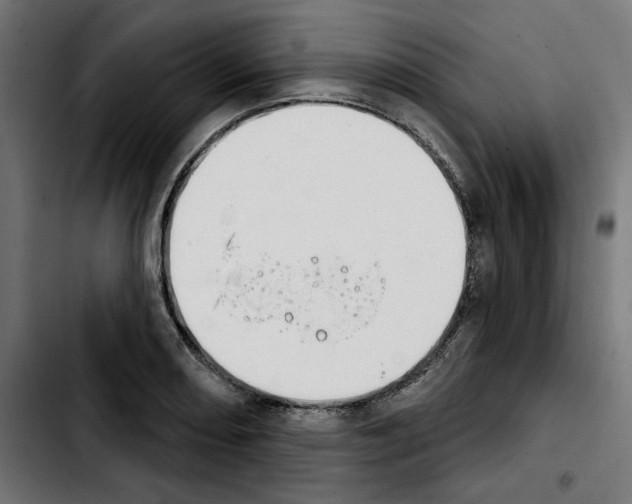 X0000103911082200810311427