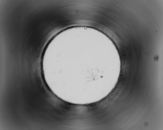 X0000103911085200810311427