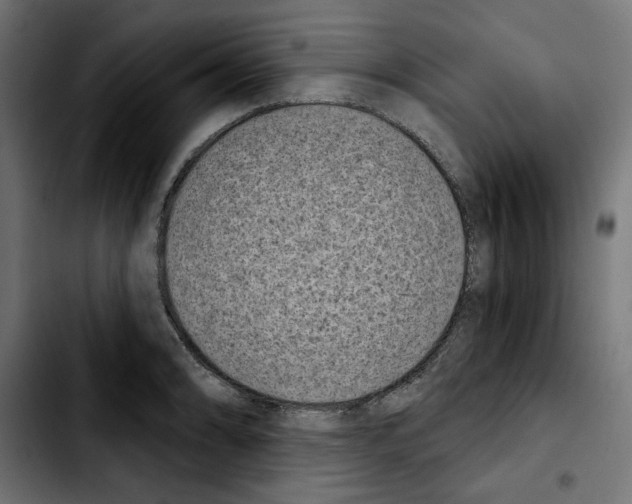 X0000103911086200810311427