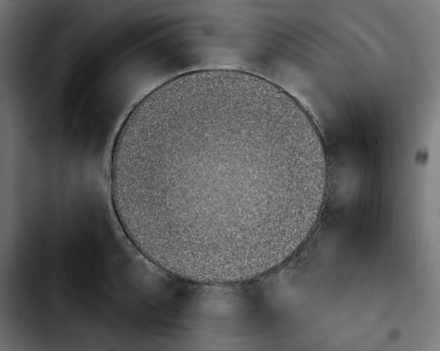 X0000103911088200810311427