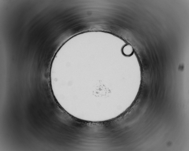 X0000103911089200810311427