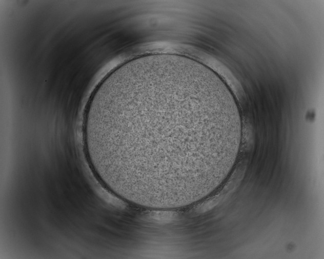 X0000103911090200810311427
