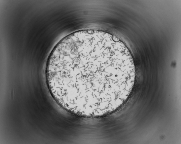 X0000103911091200810311427