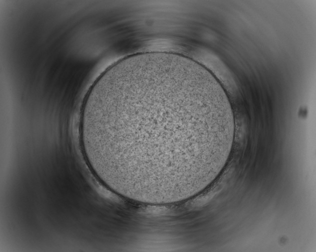 X0000103911094200810311427