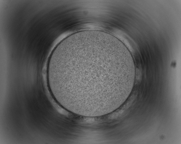 X0000103911098200810311426