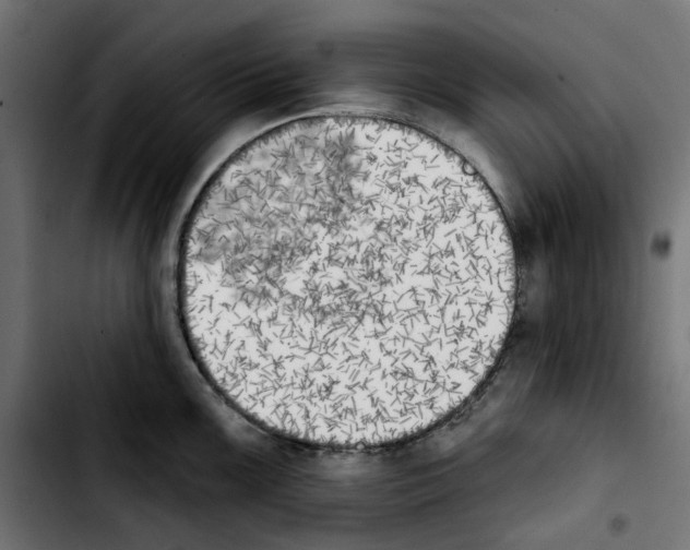 X0000103911099200810311426