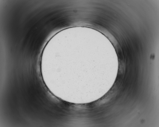 X0000103911102200810311426