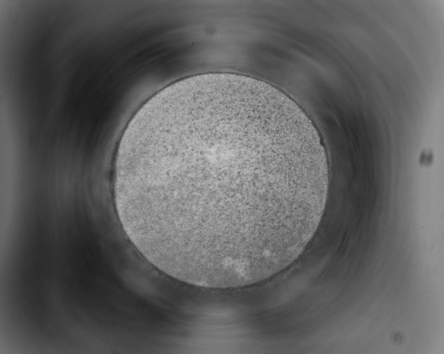 X0000103911104200810311426