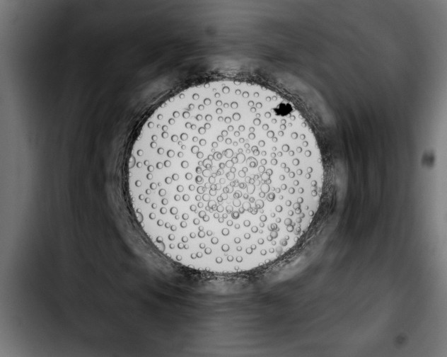 X0000103911105200810311426
