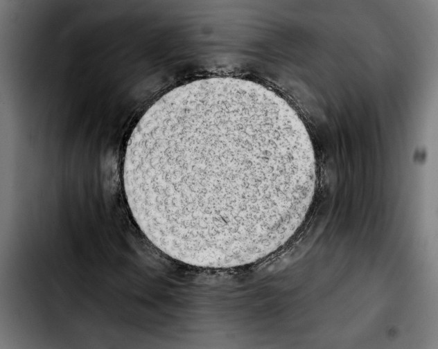 X0000103911106200810311426
