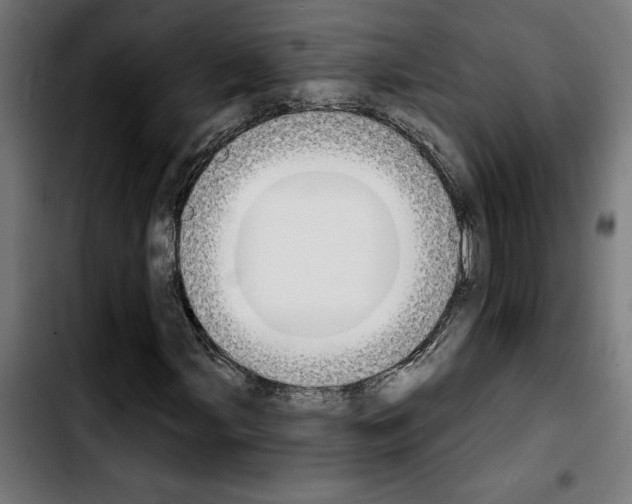 X0000103911107200810311426
