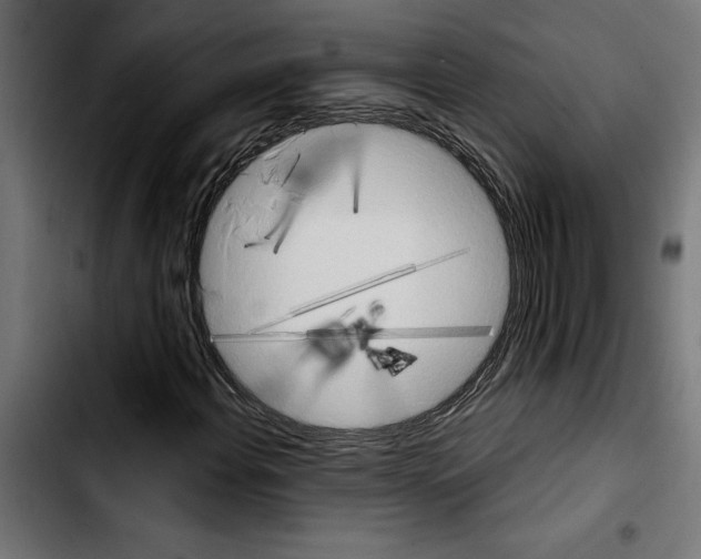 X0000103911108200810311426