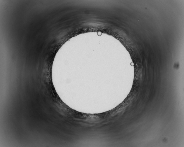 X0000103911109200810311426