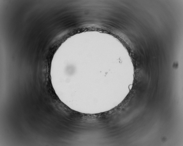 X0000103911111200810311426