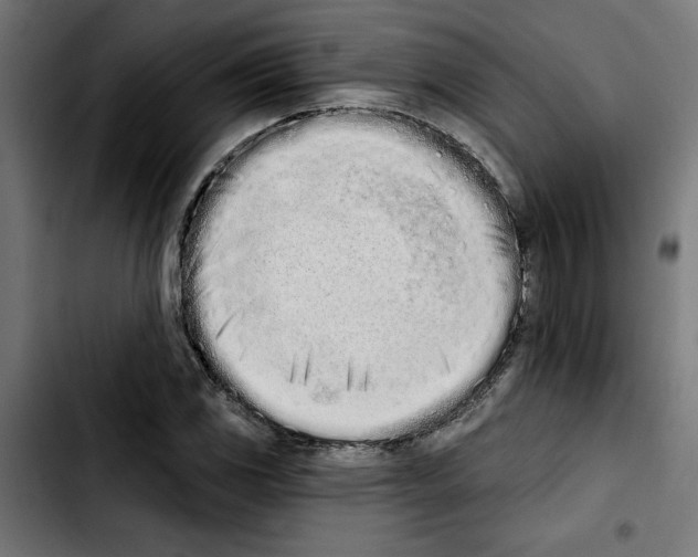 X0000103911117200810311426