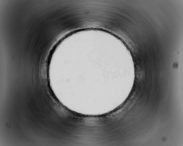 X0000103911118200810311426