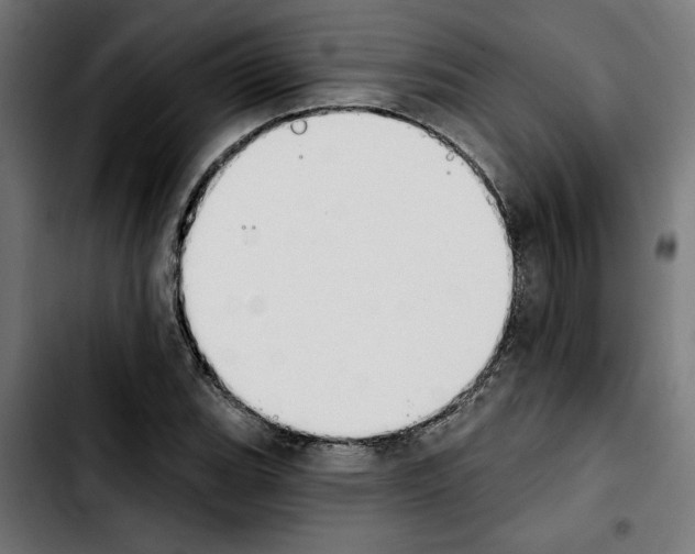 X0000103911119200810311426