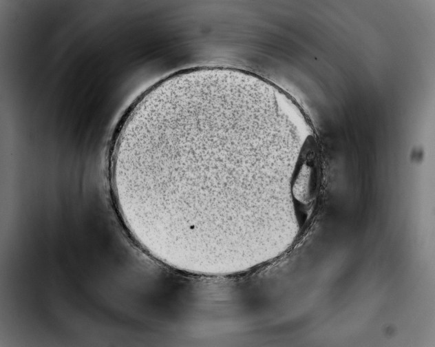 X0000103911120200810311426