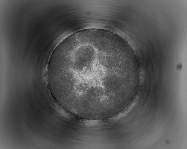 X0000103911121200810311426