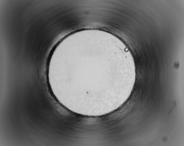 X0000103911122200810311426