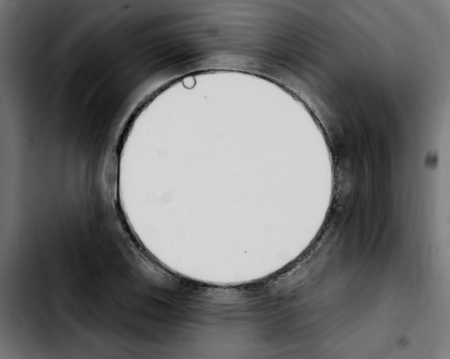 X0000103911123200810311426