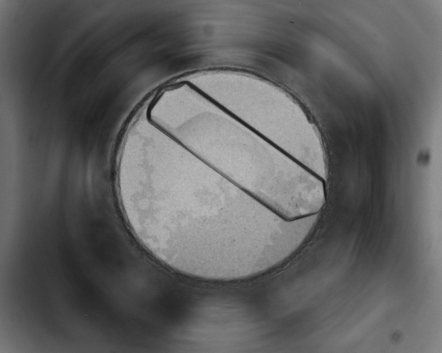 X0000103911124200810311426