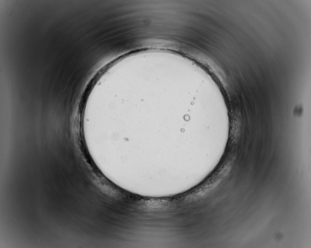 X0000103911125200810311426
