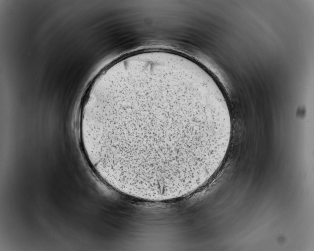 X0000103911127200810311426
