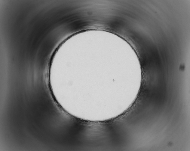 X0000103911131200810311426