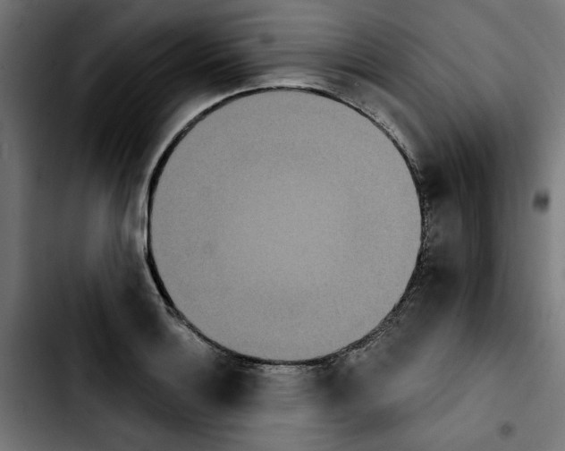 X0000103911132200810311426