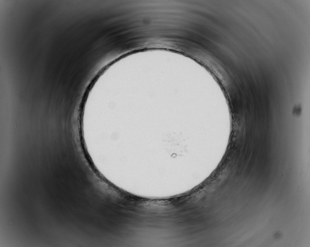 X0000103911133200810311426
