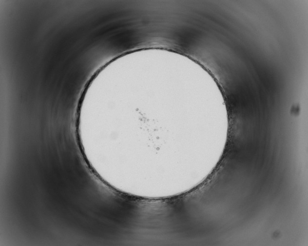X0000103911135200810311426